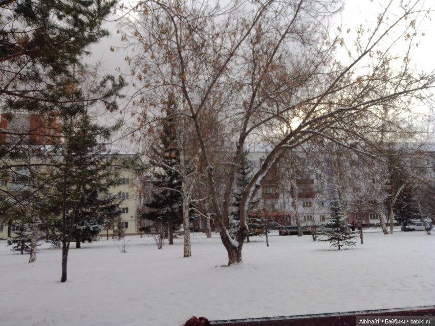 Городские зарисовки... Ноябрь 2023 год