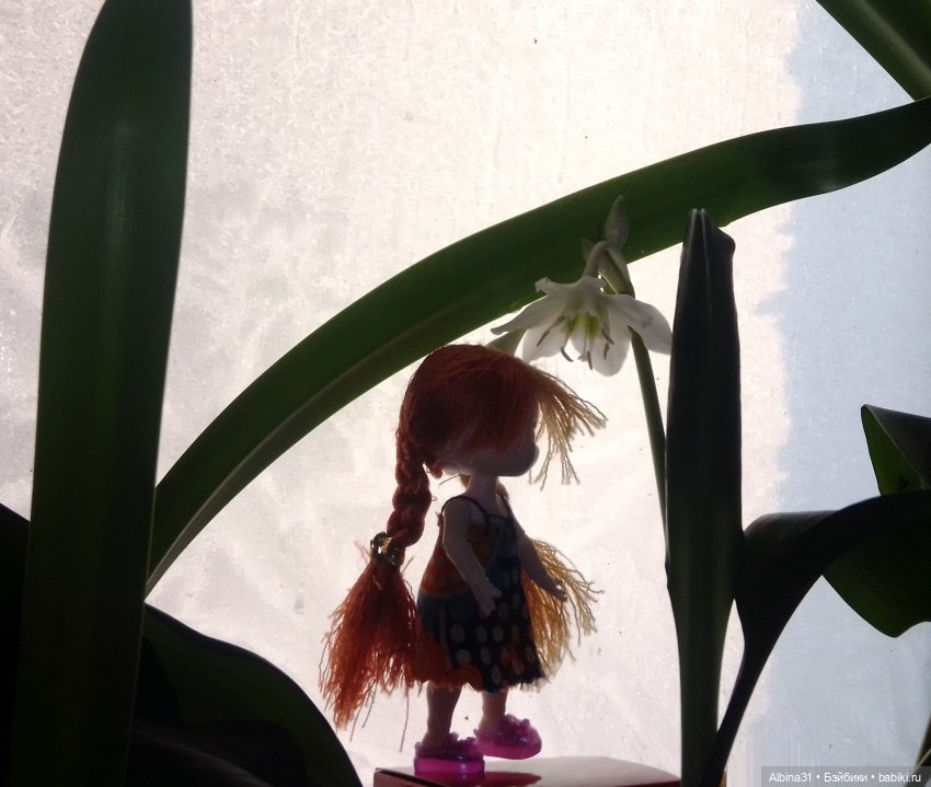 Не выставка, не музей, просто игрушки (16)