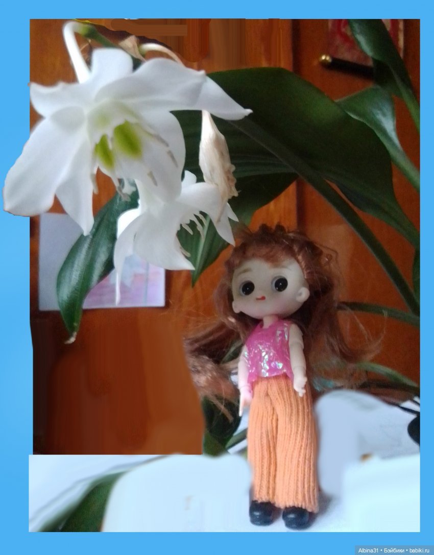 Куклы. Немного шарнирных — Разные шарнирные куклы (не БЖД): редкие