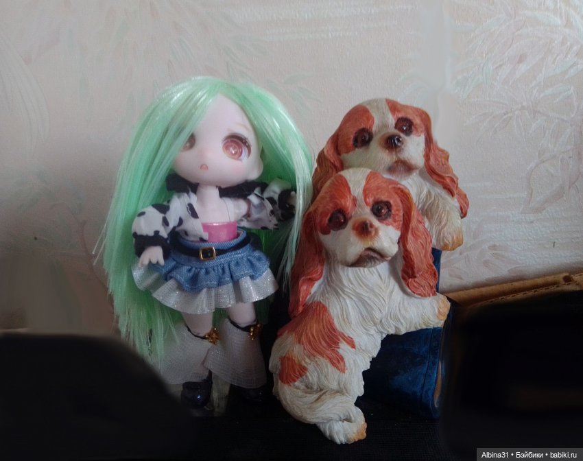 Мои гномики — Разные шарнирные куклы (не БЖД): редкие (фото 5)