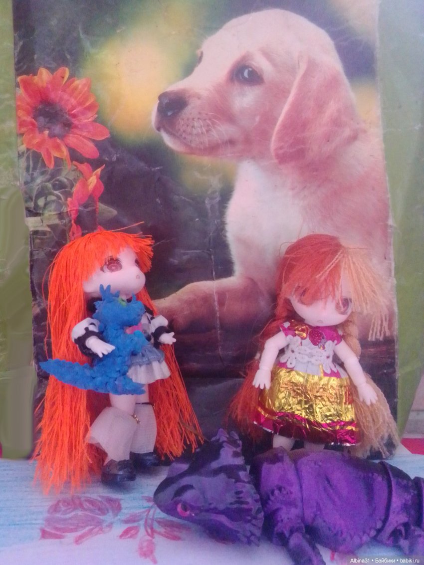 Мои гномики — Разные шарнирные куклы (не БЖД): редкие (фото 4)