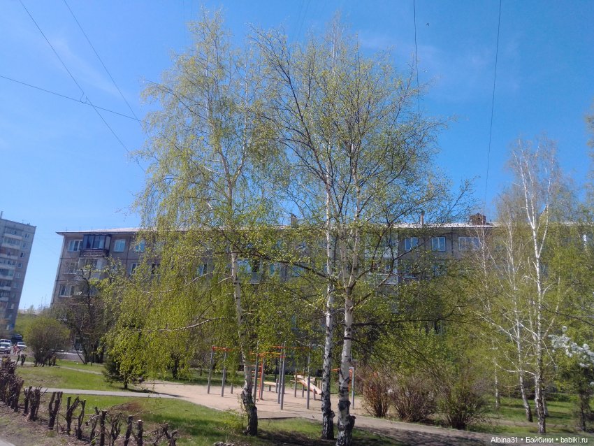 Всё подряд — Игровые куклы разных производителей (Разное): редкие бренды (фото 7)