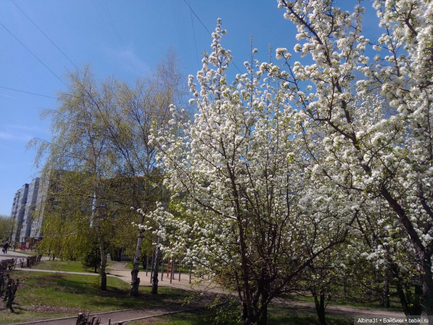 Всё подряд — Игровые куклы разных производителей (Разное): редкие бренды (фото 8)