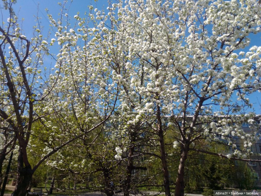 Всё подряд — Игровые куклы разных производителей (Разное): редкие бренды (фото 5)