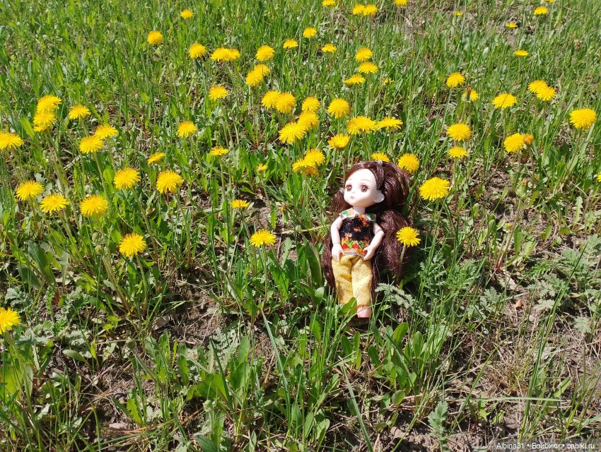 Всё подряд — Игровые куклы разных производителей (Разное): редкие бренды