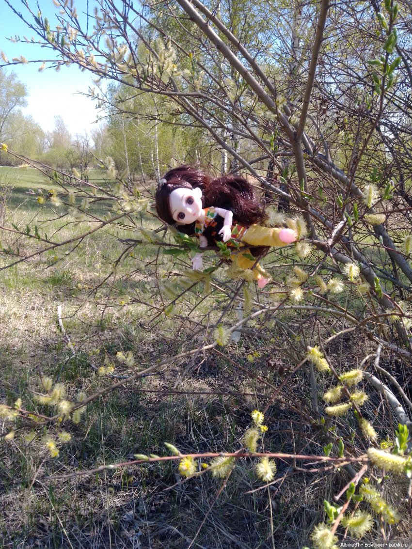 Всё подряд — Игровые куклы разных производителей (Разное): редкие бренды (фото 9)