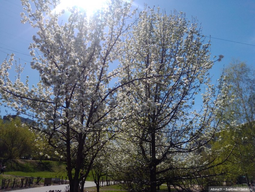 Всё подряд — Игровые куклы разных производителей (Разное): редкие бренды (фото 3)