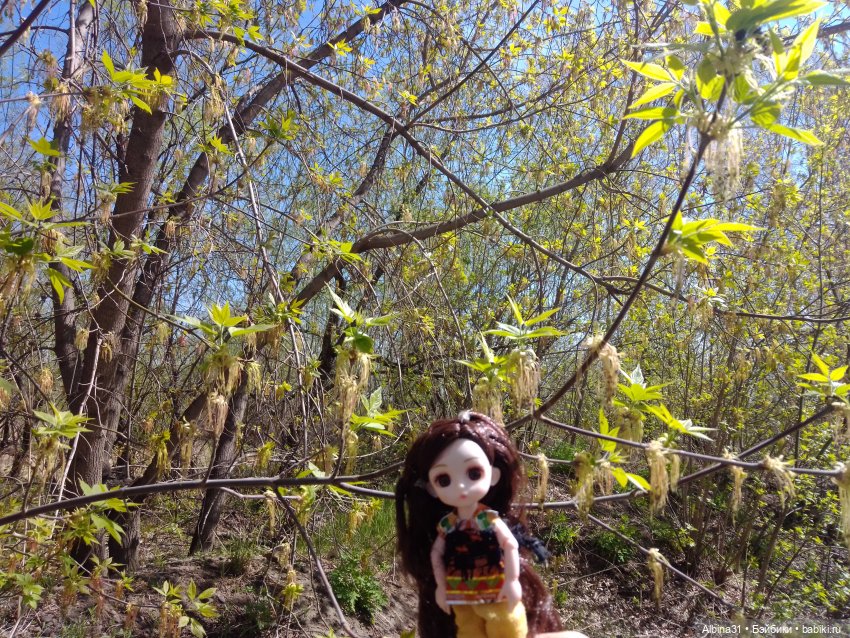 Всё подряд — Игровые куклы разных производителей (Разное): редкие бренды