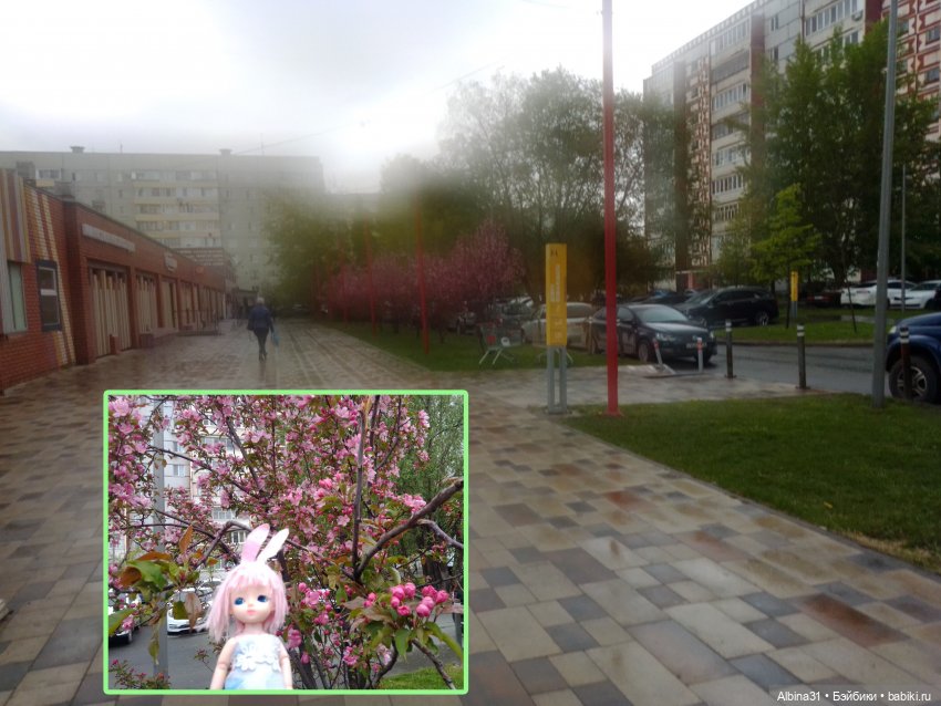 Прогулка в Казани — Куклы Baboliy (Баболи