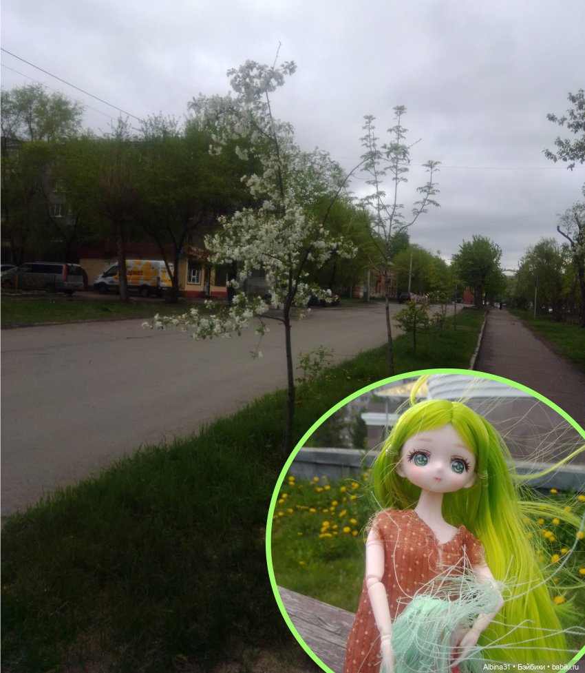 Май и новенькие — Игровые куклы разных производителей (Разное): редкие бренды (фото 2)