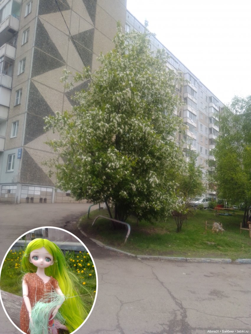 Май и новенькие — Игровые куклы разных производителей (Разное): редкие бренды