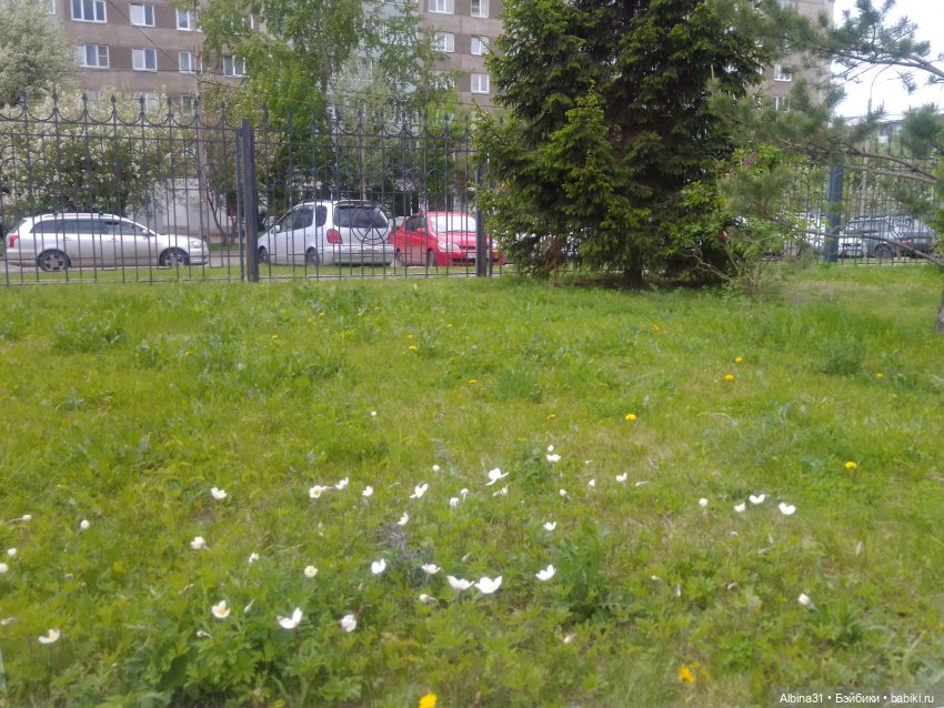 Май и новенькие — Игровые куклы разных производителей (Разное): редкие бренды