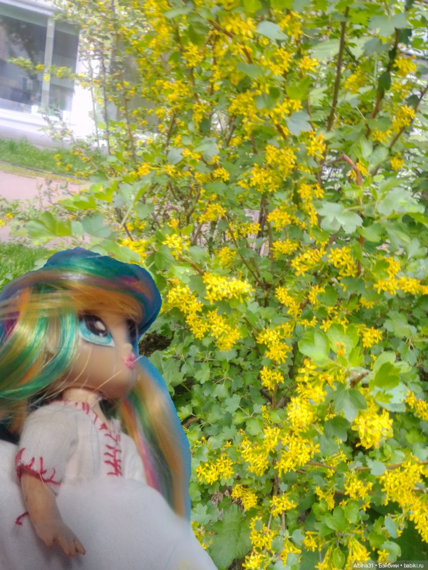 Май и новенькие — Игровые куклы разных производителей (Разное): редкие бренды