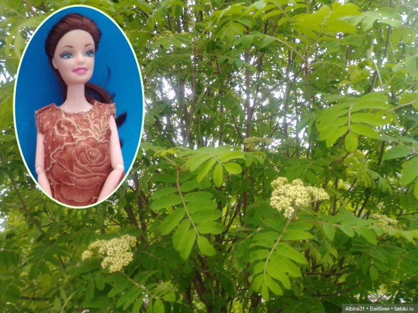 Май и новенькие — Игровые куклы разных производителей (Разное): редкие бренды