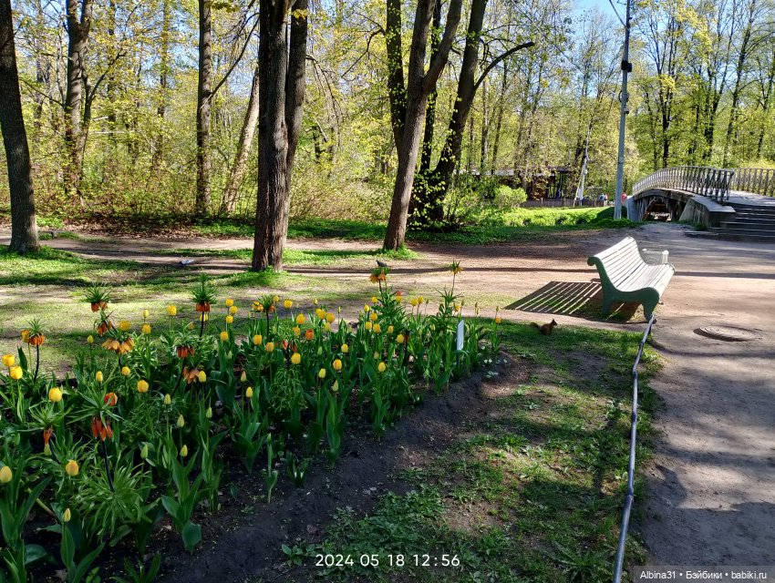 Питер. Остров Елагин... Цветы... Цветы (фото 10)