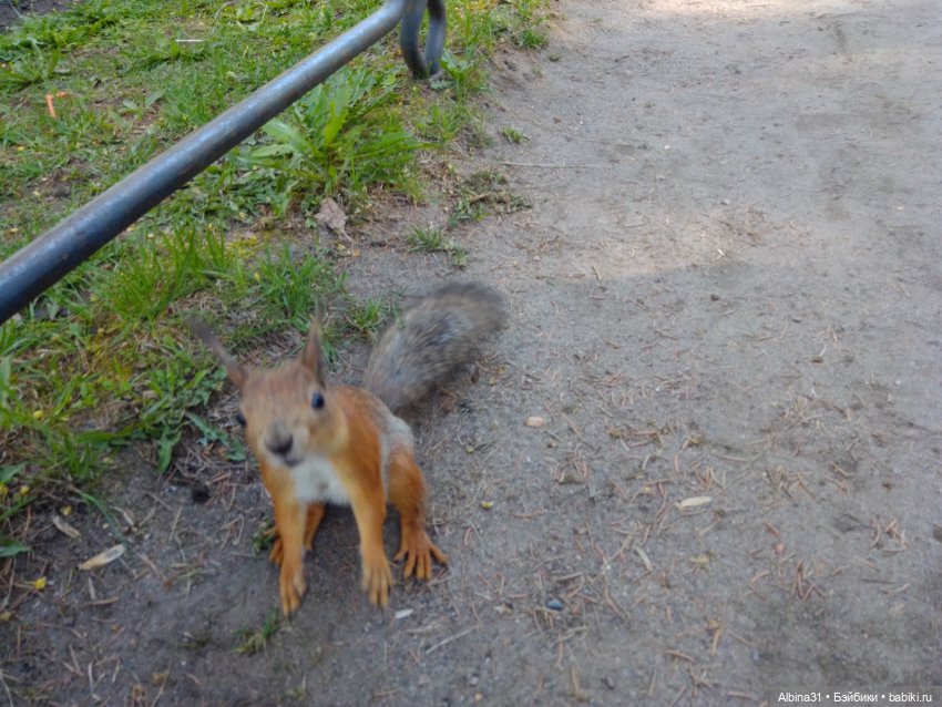 Питер. Остров Елагин... Цветы... Цветы