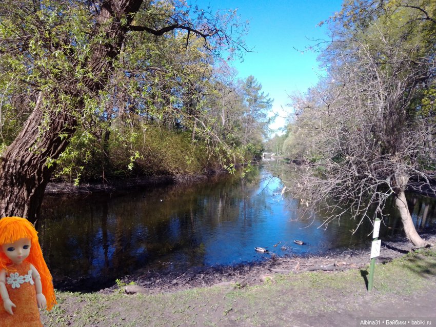 Питер. Остров Елагин... Цветы... Цветы