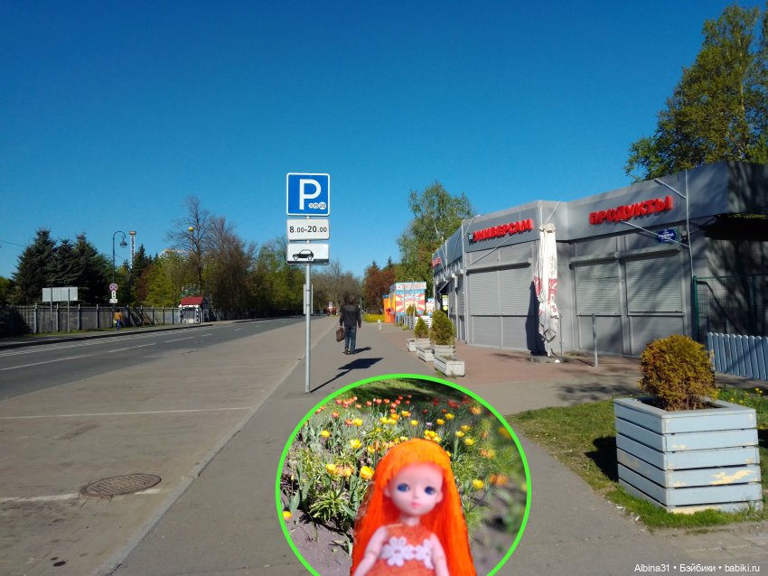 Питер. Остров Елагин... Цветы... Цветы (фото 6)