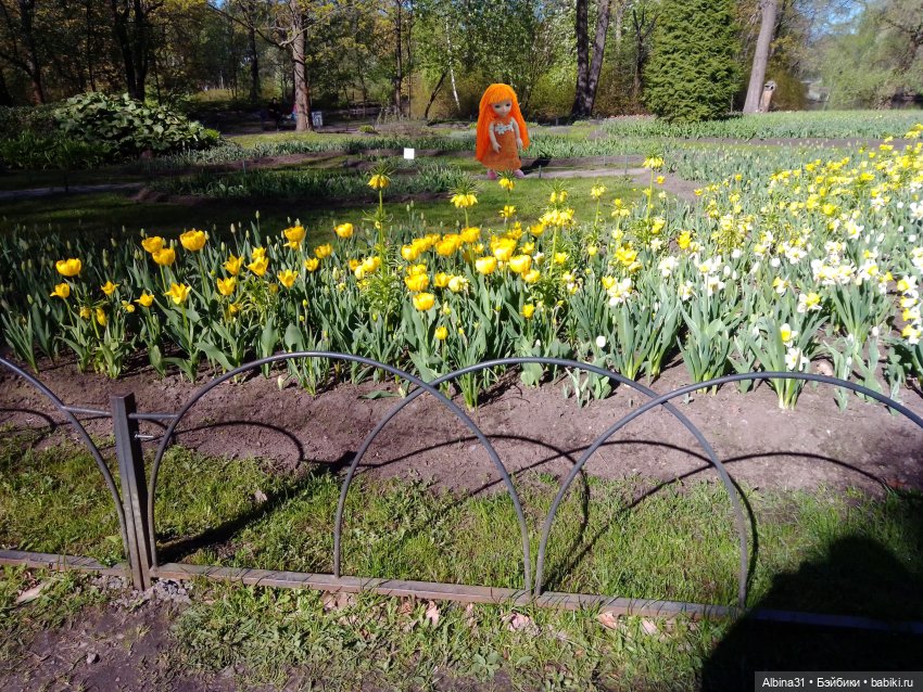 Питер. Остров Елагин... Цветы... Цветы