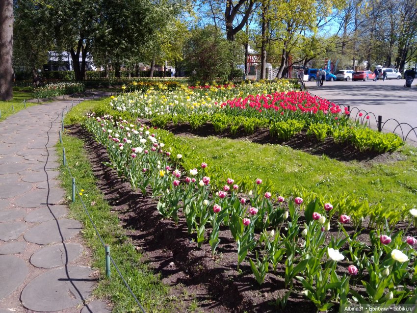 Питер. Остров Елагин... Цветы... Цветы