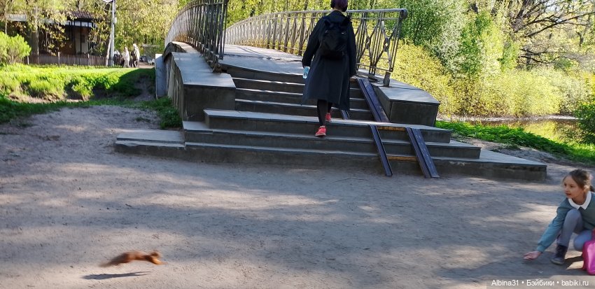 Питер. Остров Елагин... Цветы... Цветы