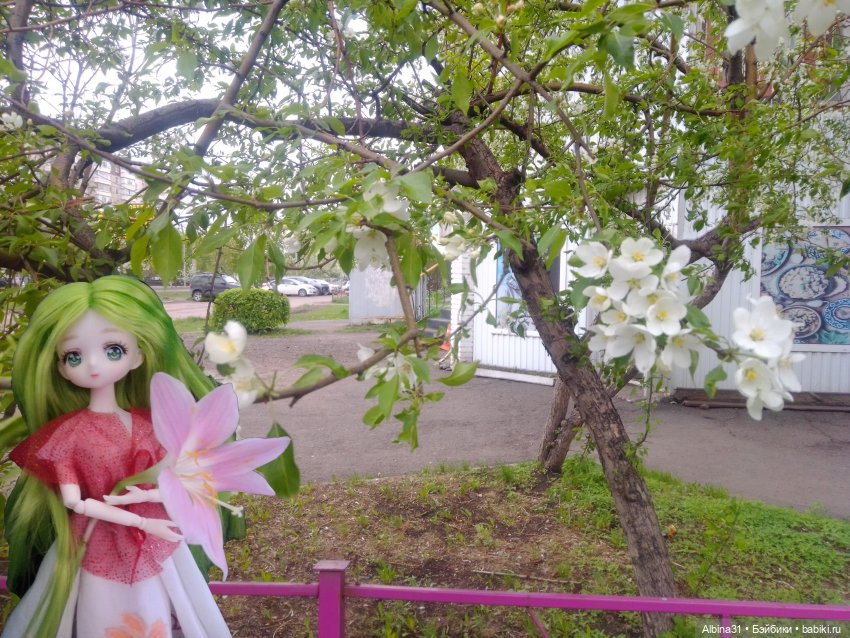 Май и новенькие — Игровые куклы разных производителей (Разное): редкие бренды