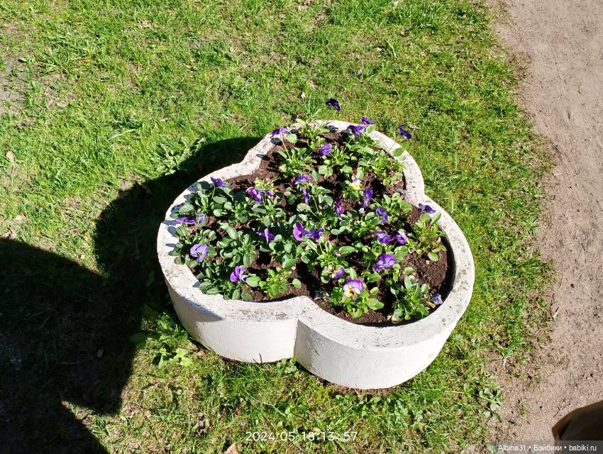 Питер. Остров Елагин... Цветы... Цветы