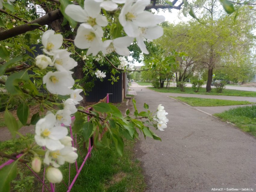 Май и новенькие — Игровые куклы разных производителей (Разное): редкие бренды