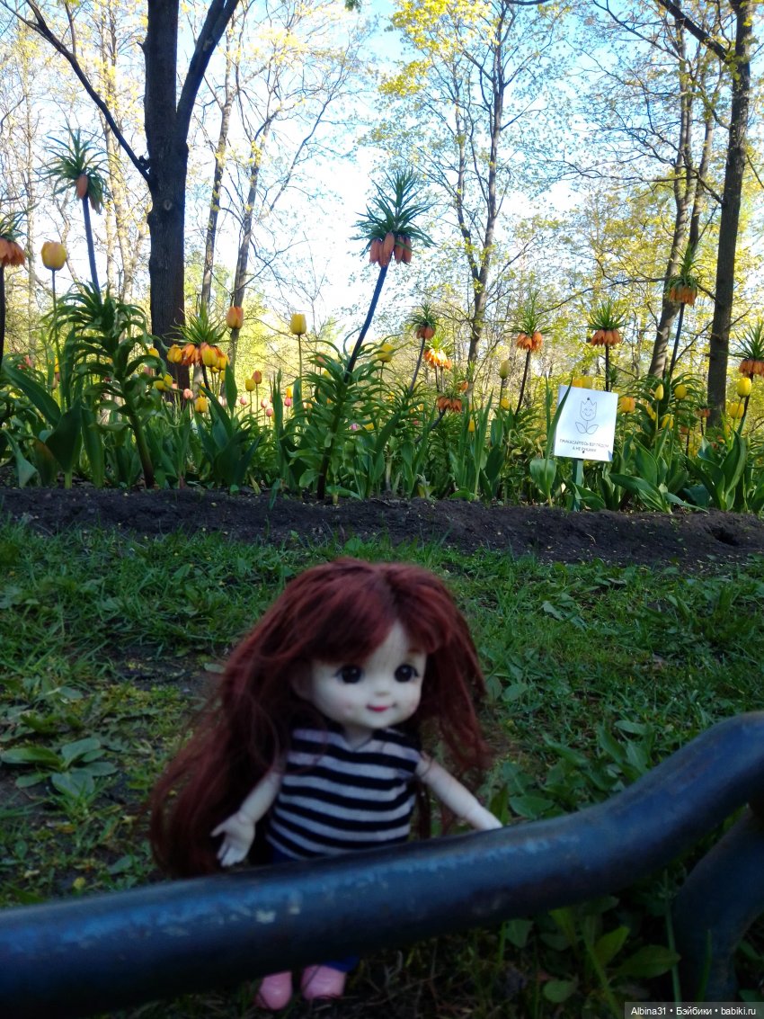 Питер. Остров Елагин... Цветы... Цветы