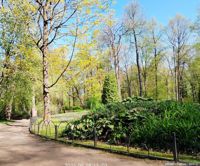 Питер. Остров Елагин... Цветы... Цветы