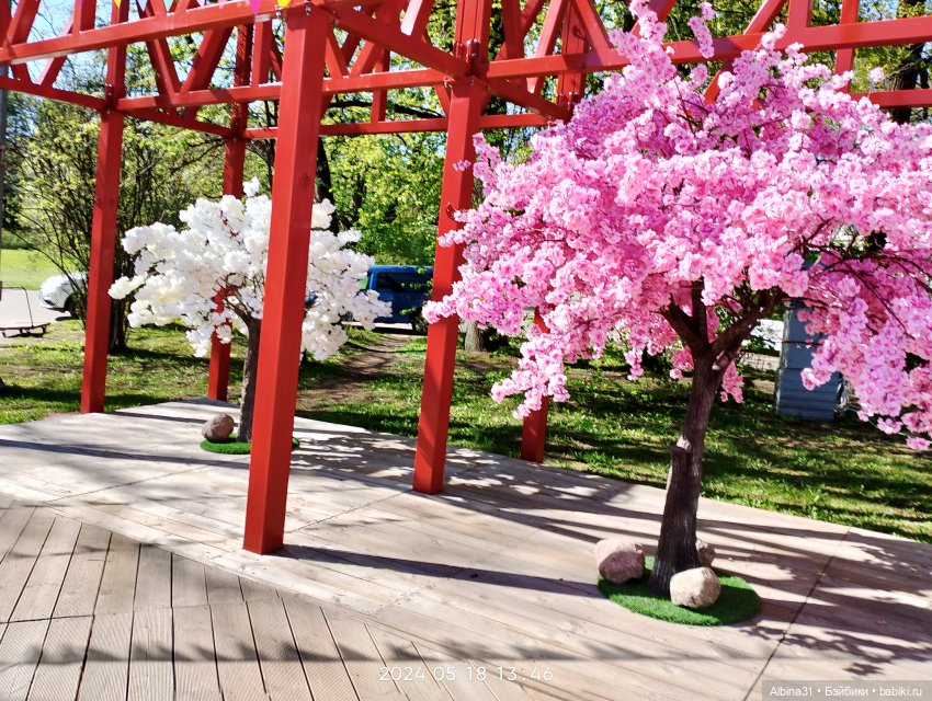 Питер. Остров Елагин... Цветы... Цветы