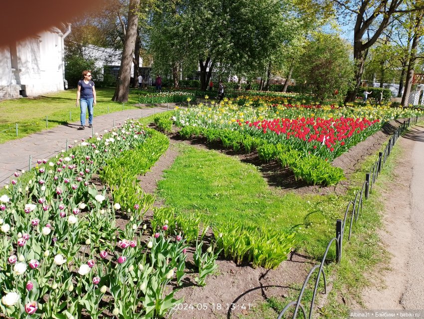 Питер. Остров Елагин... Цветы... Цветы