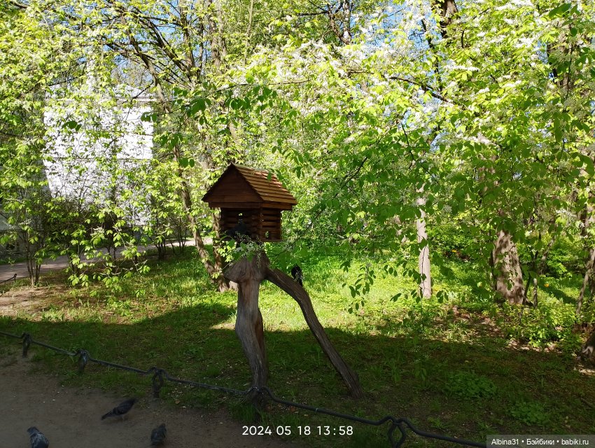 Питер. Остров Елагин... Цветы... Цветы