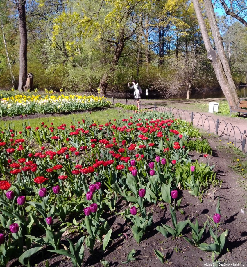 Питер. Остров Елагин... Цветы... Цветы