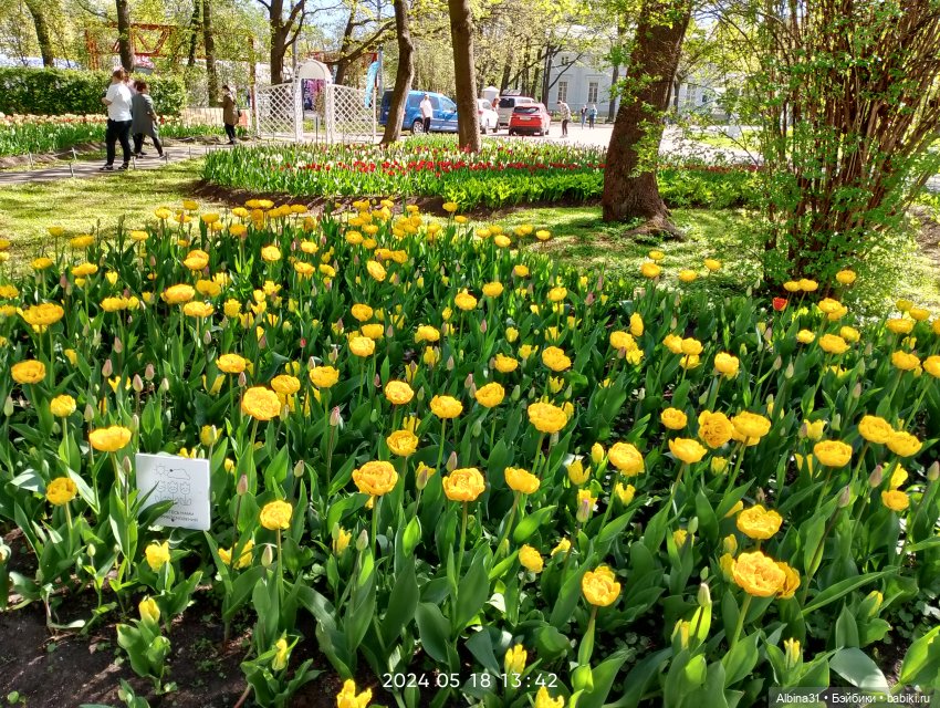 Питер. Остров Елагин... Цветы... Цветы