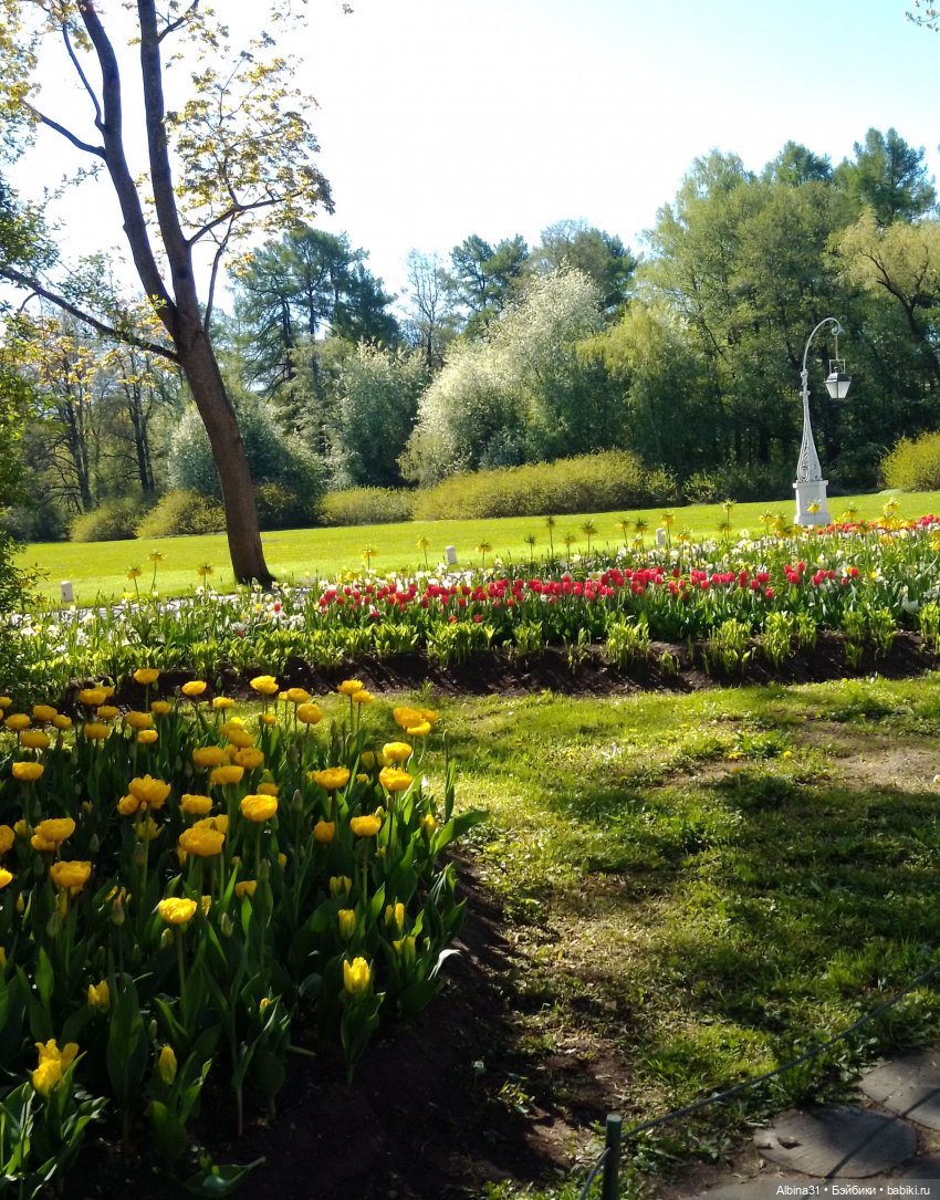 Питер. Остров Елагин... Цветы... Цветы