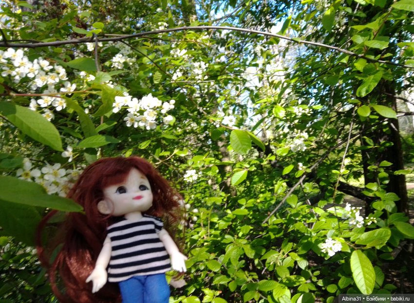 Питер. Остров Елагин... Цветы... Цветы