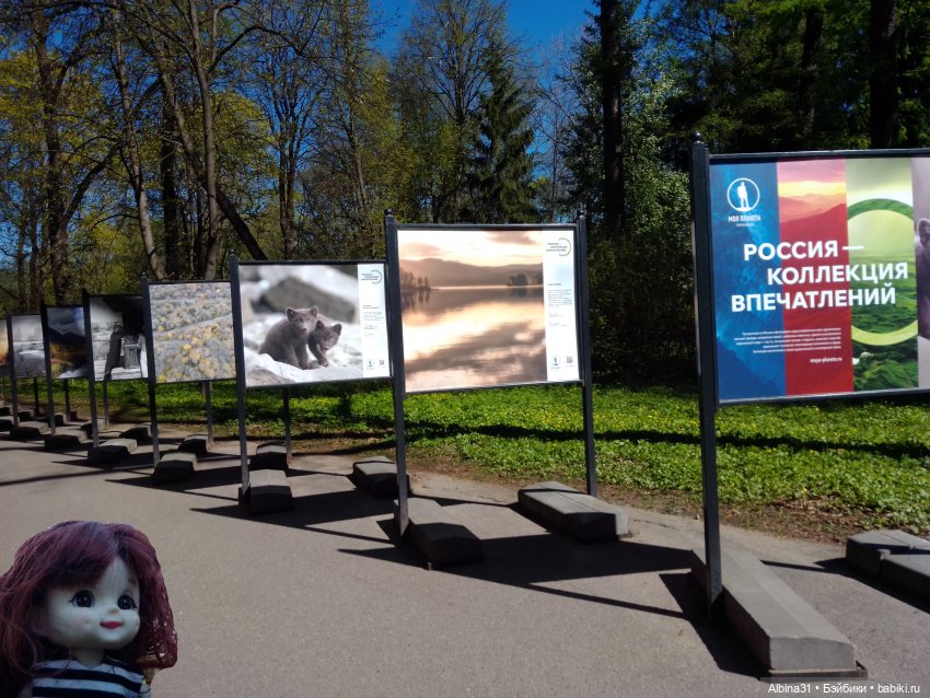 Питер. Остров Елагин... Цветы... Цветы