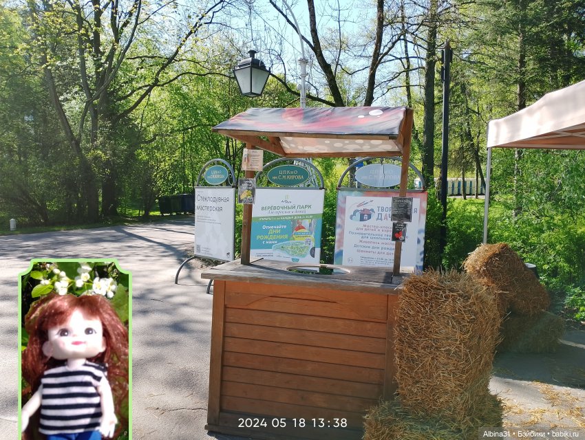 Питер. Остров Елагин... Цветы... Цветы