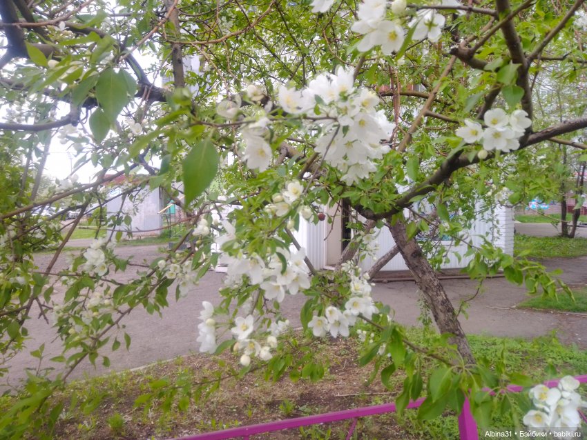 Май и новенькие — Игровые куклы разных производителей (Разное): редкие бренды