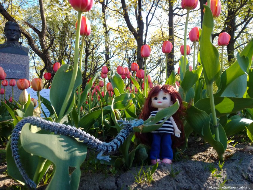 Питер. Остров Елагин... Цветы... Цветы (фото 8)