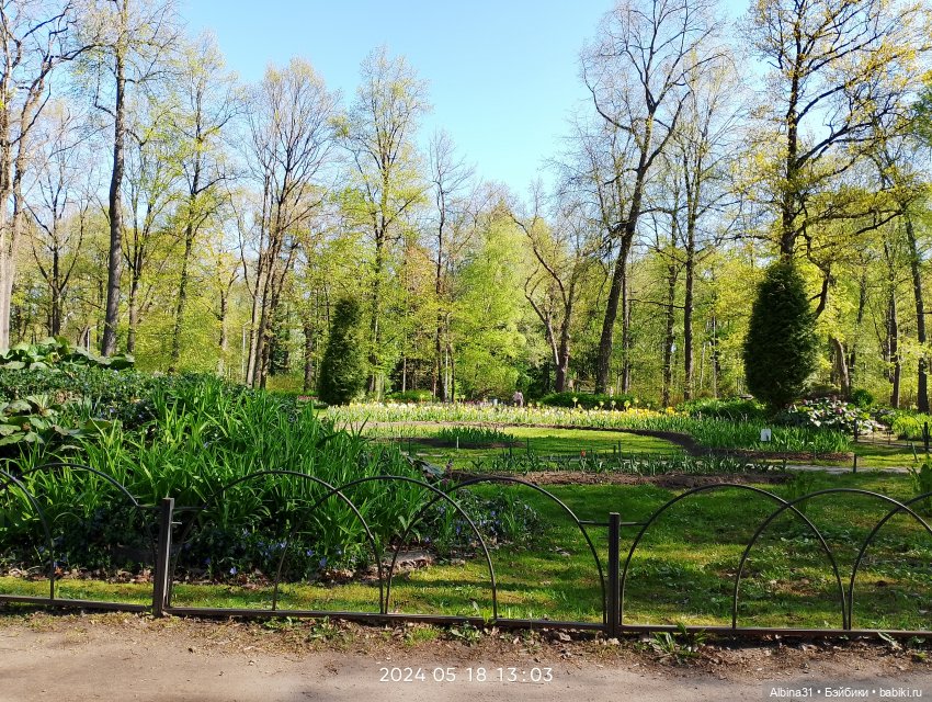 Питер. Остров Елагин... Цветы... Цветы