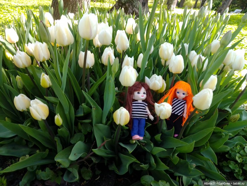 Питер. Остров Елагин... Цветы... Цветы