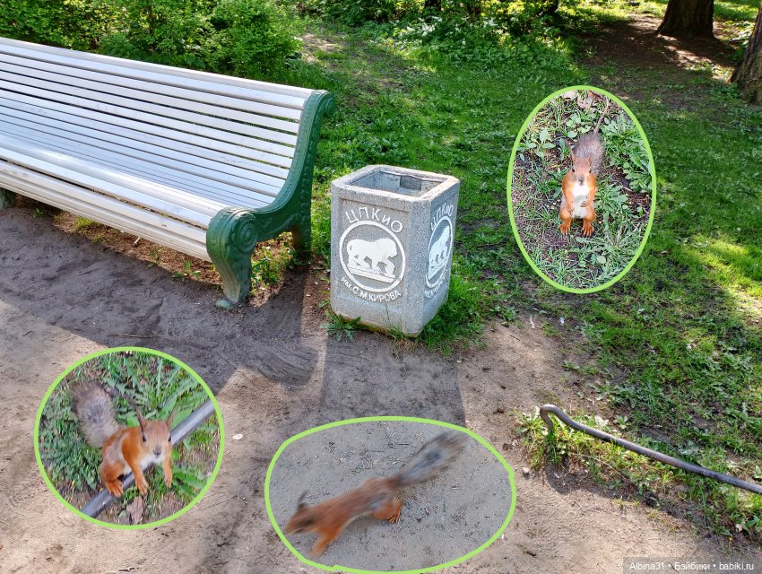 Питер. Остров Елагин... Цветы... Цветы