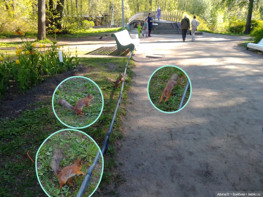 Питер. Остров Елагин... Цветы... Цветы