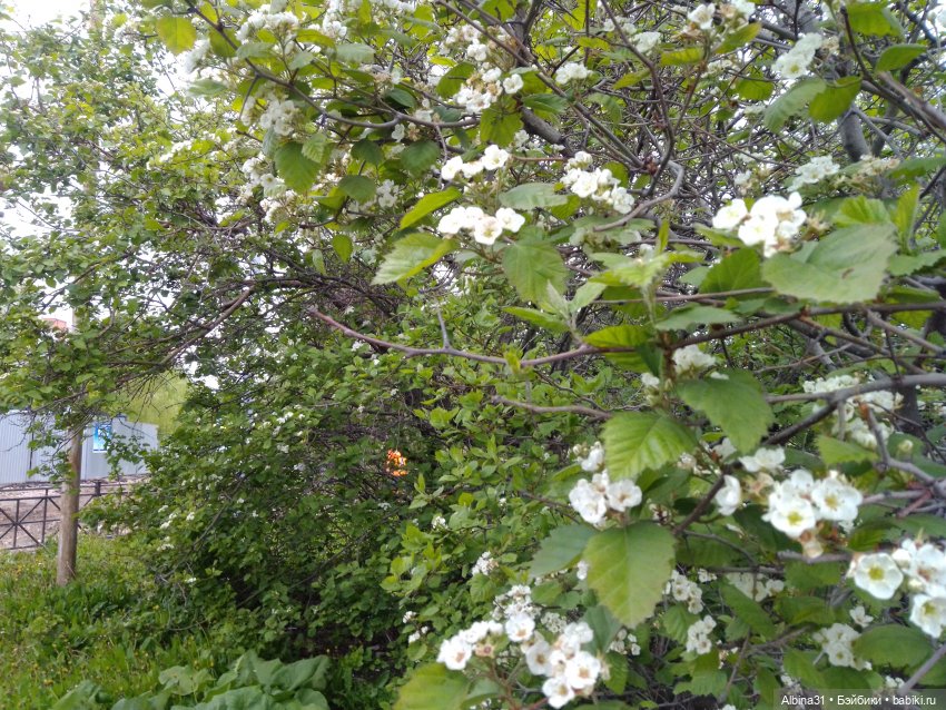 Прогулка в Казани, окончание