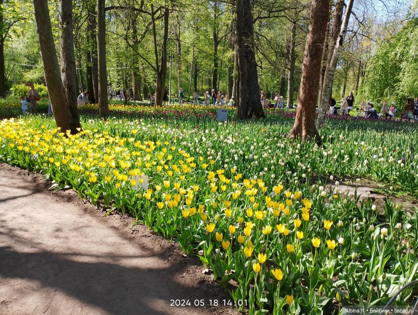 Питер. Остров Елагин... Цветы... Цветы