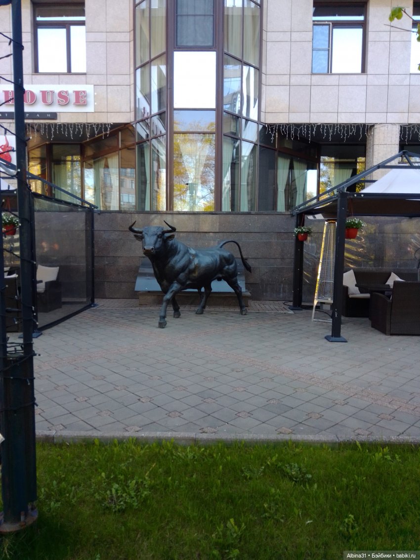 Питер. Остров Елагин... Цветы... Цветы (фото 4)