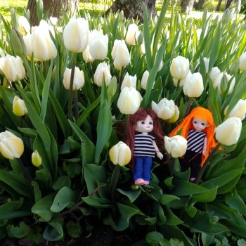 Питер. Остров Елагин... Цветы... Цветы...