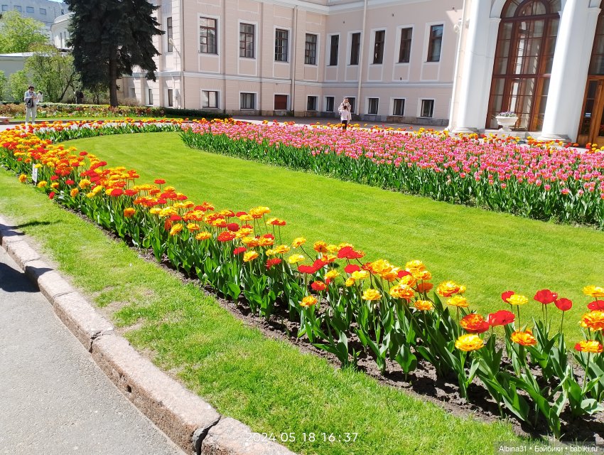 Питер май 2024 год — Куклы Baboliy (Баболи (фото 7)